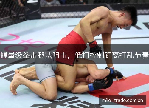蝇量级拳击腿法阻击,低扫控制距离打乱节奏 蝇量级拳击腿法阻击,低扫控制距离打乱节奏